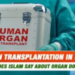 Is Organ Transplantation Halal