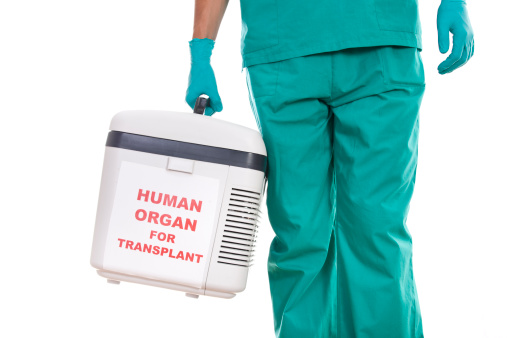 Human Organ For Transplant