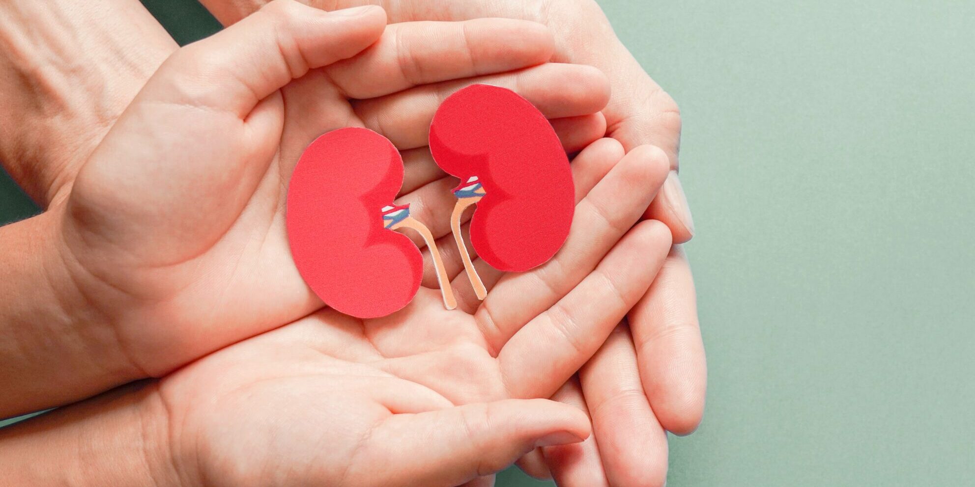 Adult And Child Holding Kidney Shaped Paper On Textured Blue Bac
