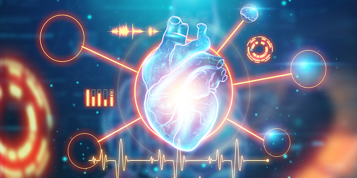 Hologram Of A Heart With Different Vital Signs, Cardiogram, Blue Background. The Concept Of Heart Transplantation, Heart Disease, Stroke, Medicine. 3D Illustration, 3D Render.