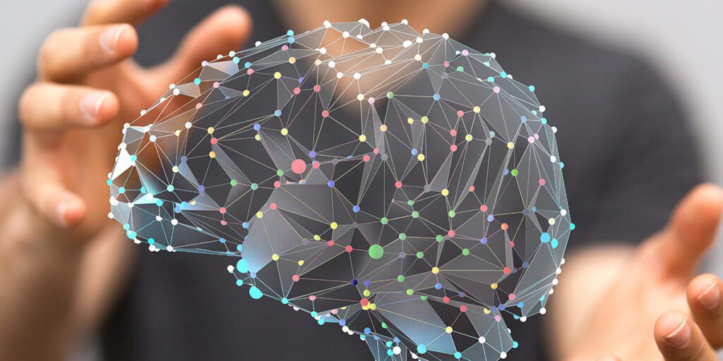 Bridging the Gap to Navigate the Unique Challenges of Brain Death