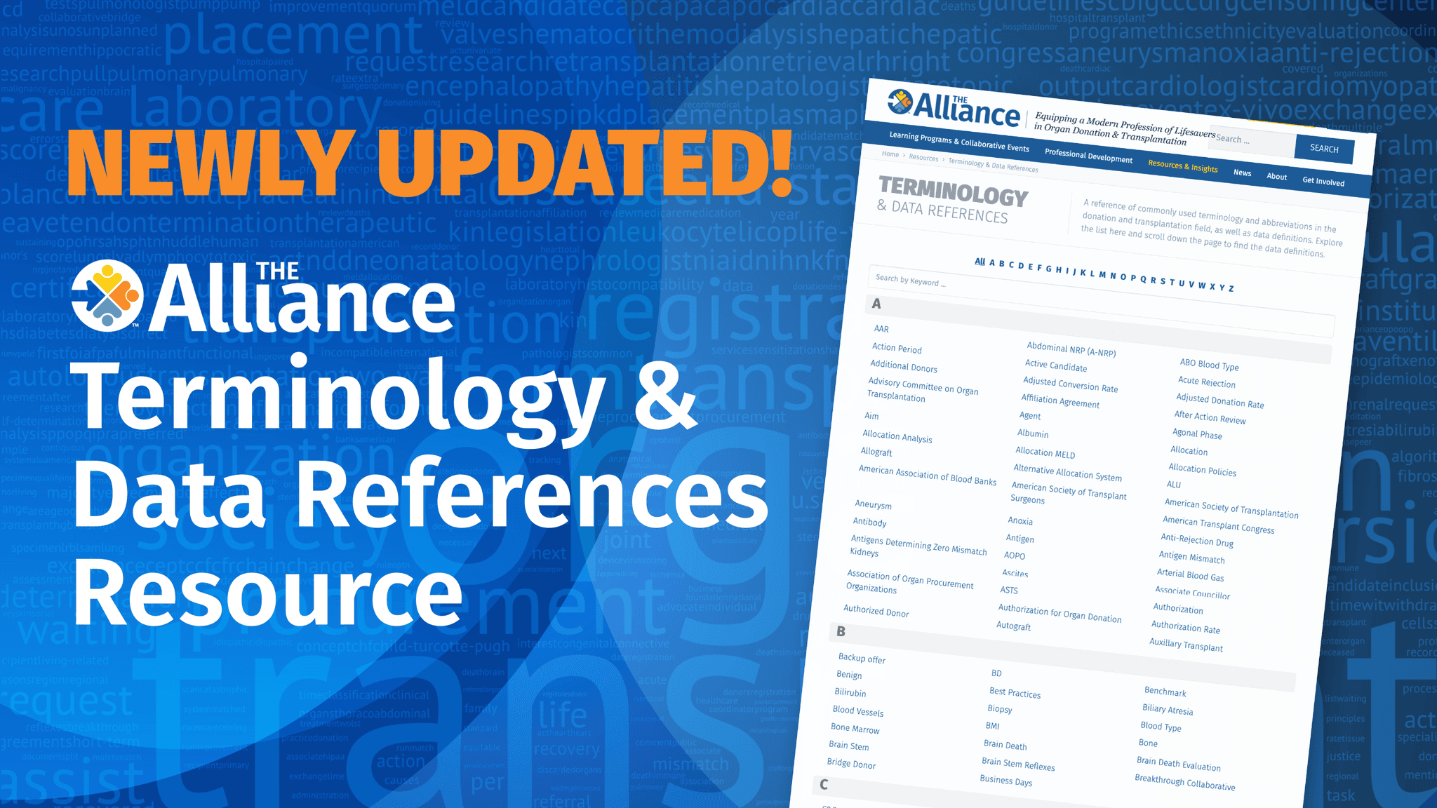 Terminology News Story